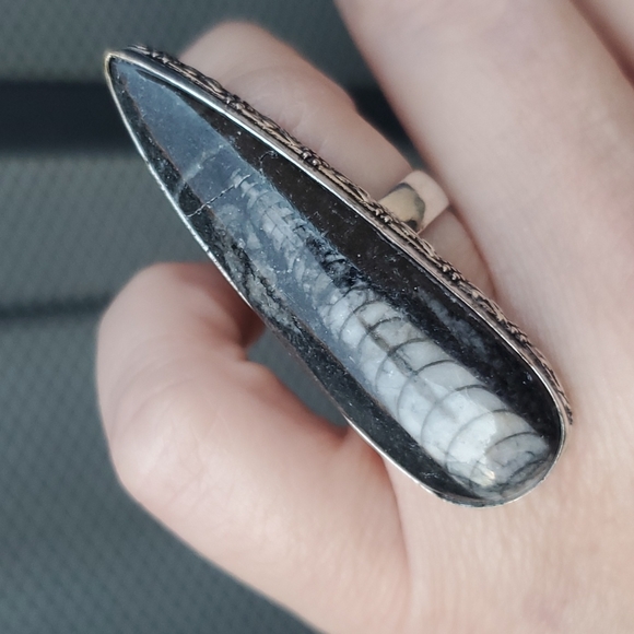 New Oversized Orthoceras Fossil 925 Silver Statement Ring. - Picture 8 of 16